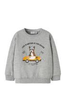 Nmmroval Ls Sweat Bru Box Grey Name It