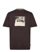 Te_Wheel Brown BOSS