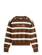 Script Reg Pique Swtshrt Brown Tommy Hilfiger