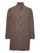 Chimmy Brown SIR Of Sweden