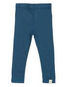 Ppdante Leggings Merino Wool Blue Petit Piao