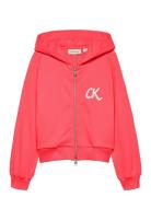 Terry Zip Up Hoodie  Calvin Klein