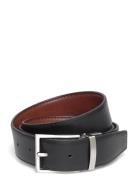 Valter Black Saddler