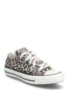 Chuck Taylor All Star Patterned Converse
