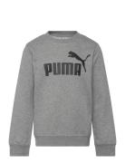 Ess No. 1 Logo Crew Tr B Grey PUMA