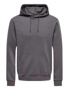 Onsceres Hoodie Sweat Noos Grey ONLY & SONS