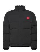 Balto2541 Black HUGO