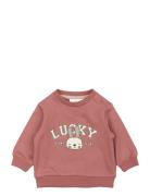 Tnsbpheba Sweatshirt Pink The New