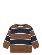 Tnstpier Sweatshirt Brown The New