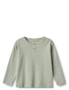 T-Shirt L/S Morris Green Wheat