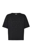 Crleona Studs Tshirt Black Cream