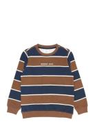 Tnpierno Sweatshirt Brown The New