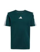 J 3S Tee 160 Green Adidas Sportswear