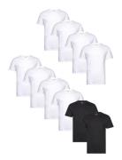 Dp 10 Pack T-Shirt White Denim Project