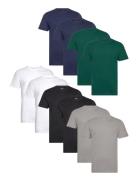 Dp 10 Pack T-Shirt Patterned Denim Project