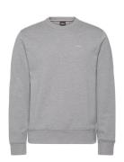 H-Sharpe 15 Grey BOSS