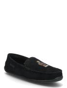Brenan Polo Bear Suede Slipper Black Polo Ralph Lauren