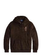 Polo Bear Pile Fleece Hoodie Brown Polo Ralph Lauren