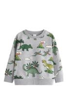 Sweatshirt Dino Aop Grey Lindex