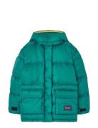 Lemur Kid Puffer Jacket Maroon Green THE ANIMALS OBSERVATORY