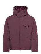 Micro-M Jacket Burgundy C.P. Company