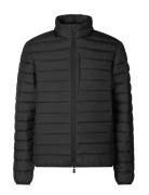 Erion Jacket Black Save The Duck