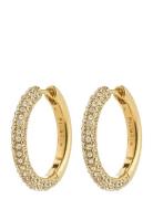 Tatum Large Hoops Gold-Plated Gold Pilgrim