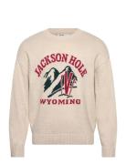 Intarsia Jersey Crew Cream Hollister