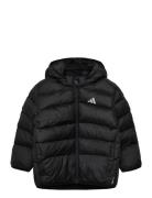 I Sd Jkt Black Adidas Sportswear