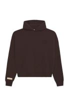 Legacy Hoodie Brown Prohibited