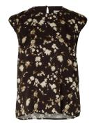 Slfaronia Sl Top Ex Brown Selected