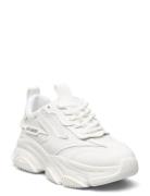 Jpossession White Steve Madden