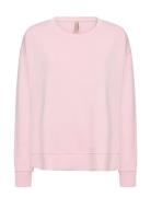 Sc-Banu Pink Soyaconcept