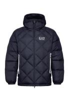 Down Jacket Navy EA7
