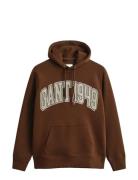 Graphic Hoodie Brown GANT