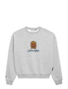 Emblem Patch Crew Neck Grey Prohibited