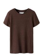 Nkfsisan Ss Top Brown Name It