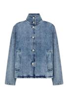 Sc-Dolores Blue Soyaconcept