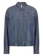 Sc-Liv Blue Soyaconcept