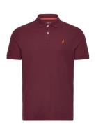 Mcs Polo Hurst Men Burgundy MCS