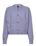 C_Fernard Purple BOSS