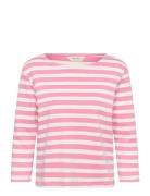 Nelapw Ts Pink Part Two