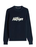 Seasonal Graphic Cotton Cneck Navy Tommy Hilfiger