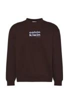 Ls 350Fleece Retro Graphic Crewn Brown Calvin Klein