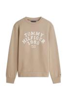 Hilfiger Arch Sweatshirt Beige Tommy Hilfiger