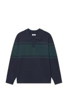 Wwcurt Polo 25212 Navy WOOD WOOD