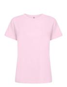 Sc-Derby Pink Soyaconcept