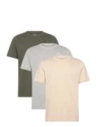 Km Tee - Logo Cafers 3 Stk Grey KAPPA