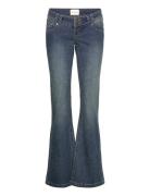 00 Super Low Kick Tall Andyandy Blue ABRAND