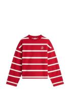 Th Script Mdrn Terry Swtshrt Red Tommy Hilfiger